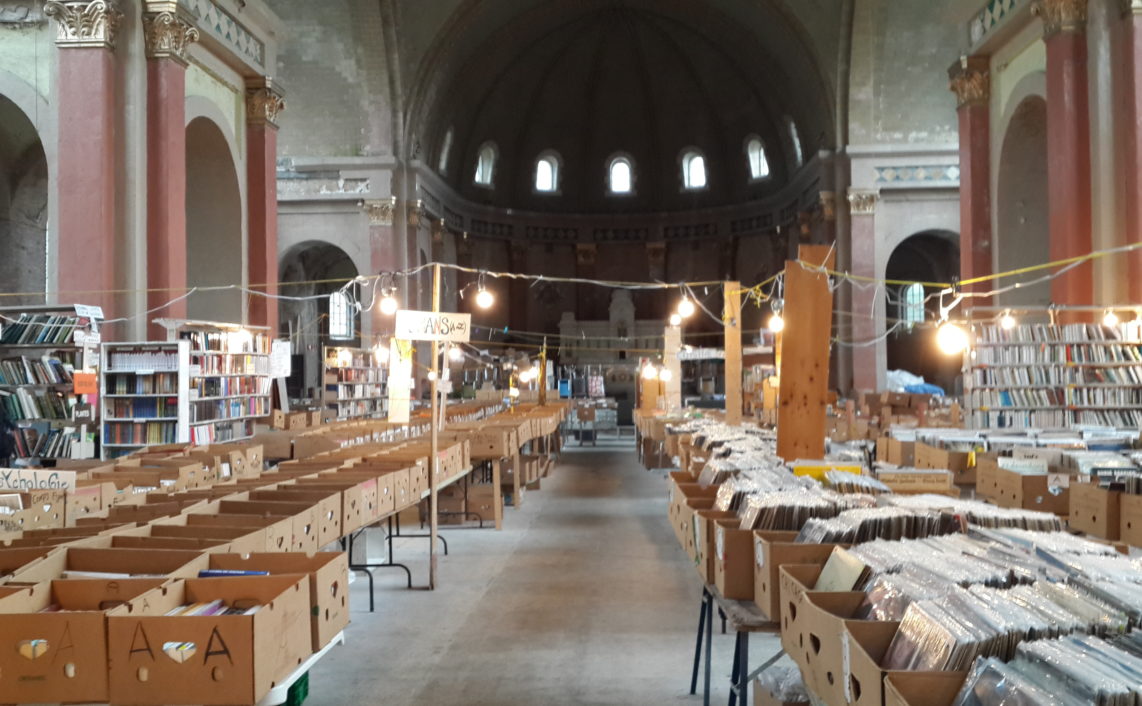 CCNC Rob Shields 2017