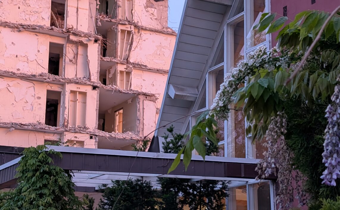 view of pink buildings with overgrown ruins in foreground