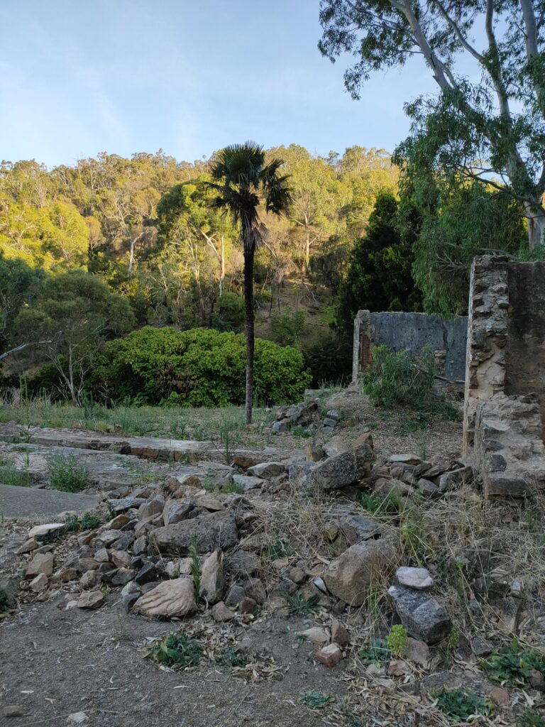 Photograph of trees and fallen rocks in front of a ruined wall.