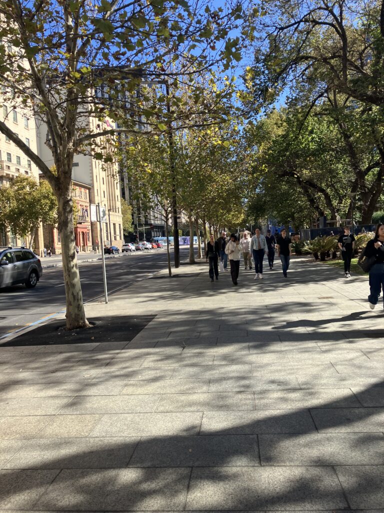 People walking along a wide footpath along a street on the left with big shady trees on the right.