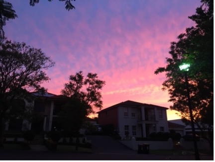 A red and purple sunset sky above a roofed building, framed by trees and a street light.